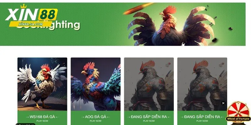 TÌM HIỂU SẢNH DIGMAAN - ĐẤU TRƯỜNG SÔI ĐỘNG, KỊCH TÍNH